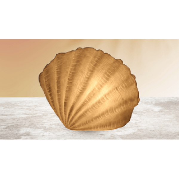 Scallop Seashell Lamp