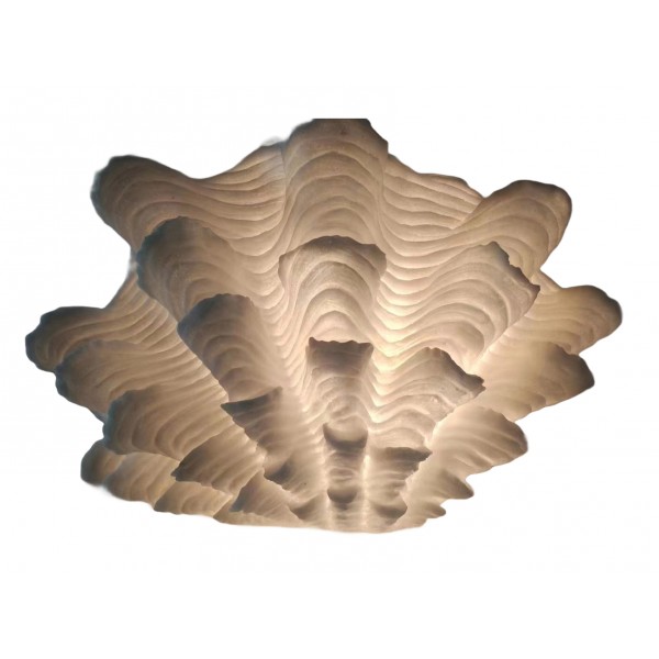 Fluted Clam Lamp