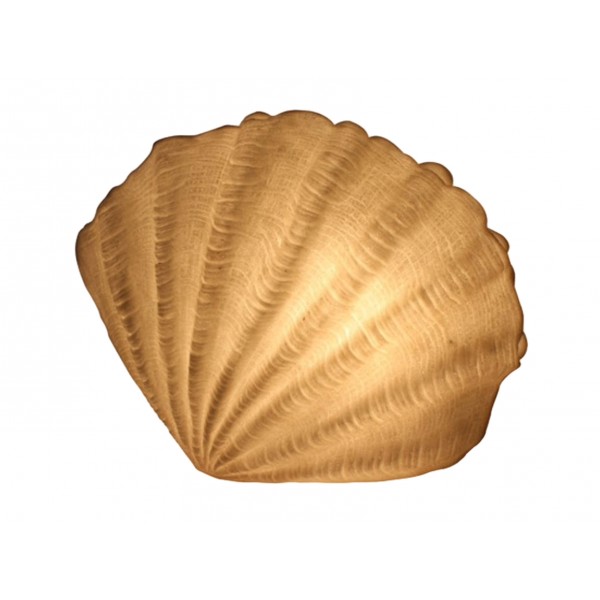 Scallop Seashell Lamp